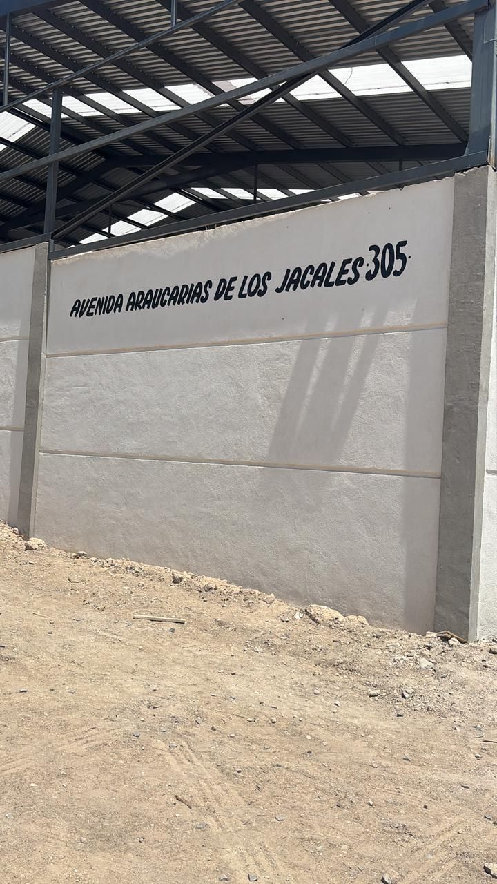2 de 14