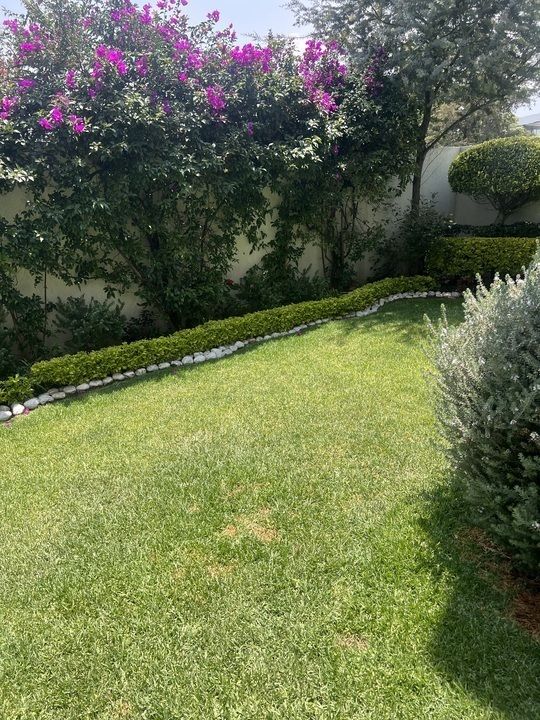 5 de 11