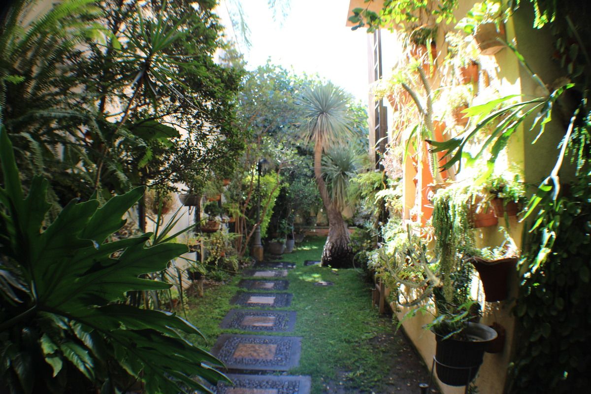 28 de 47: Jardín Lateral