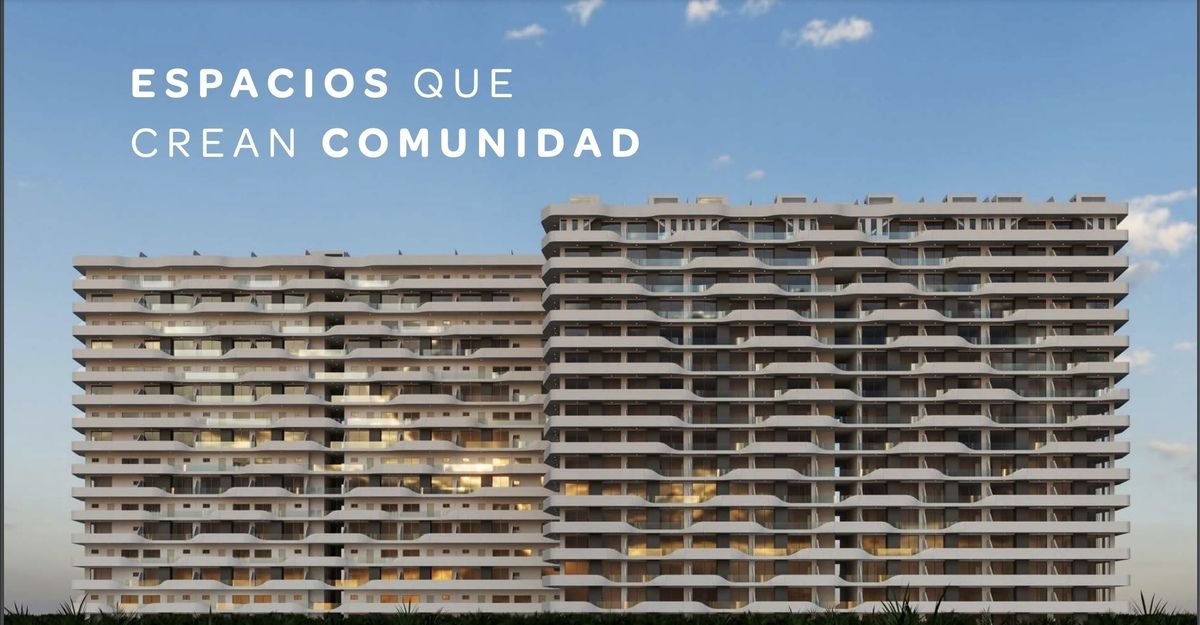 2 de 12