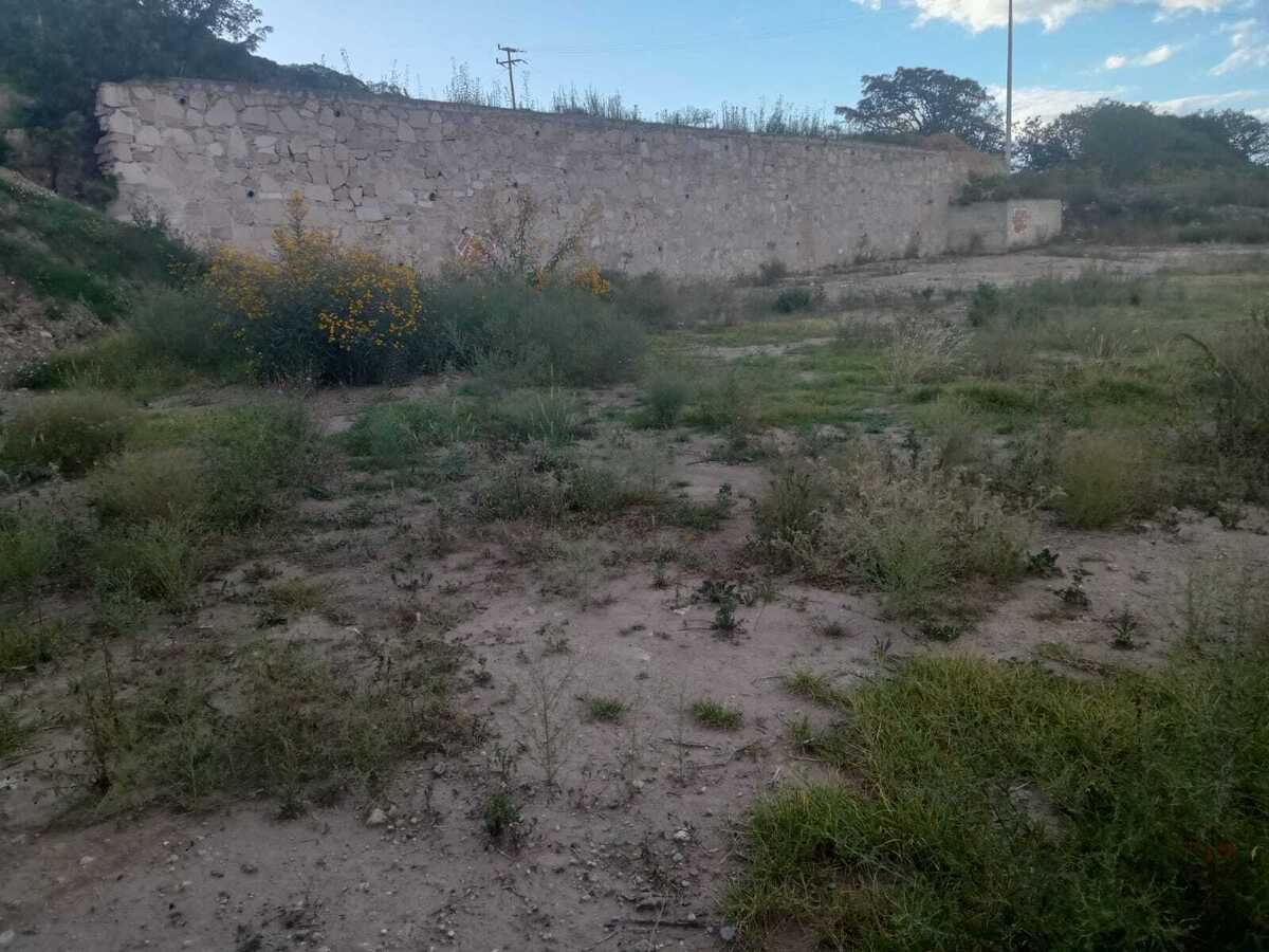 5 de 6