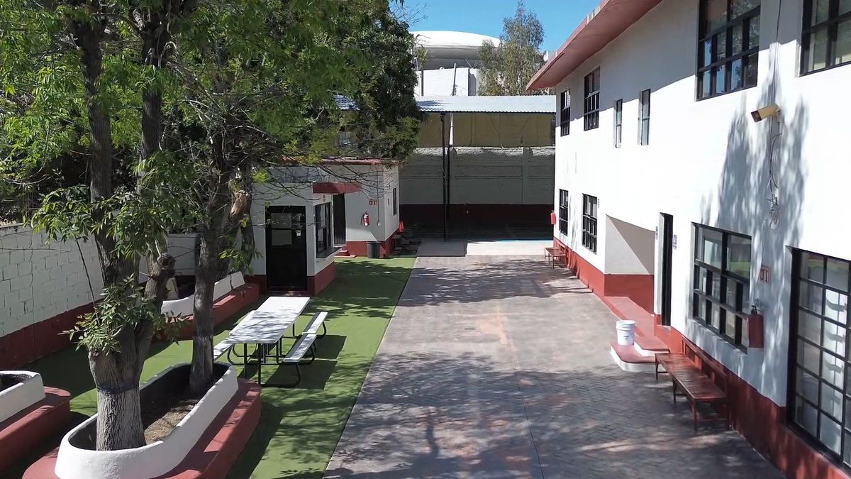 5 de 15