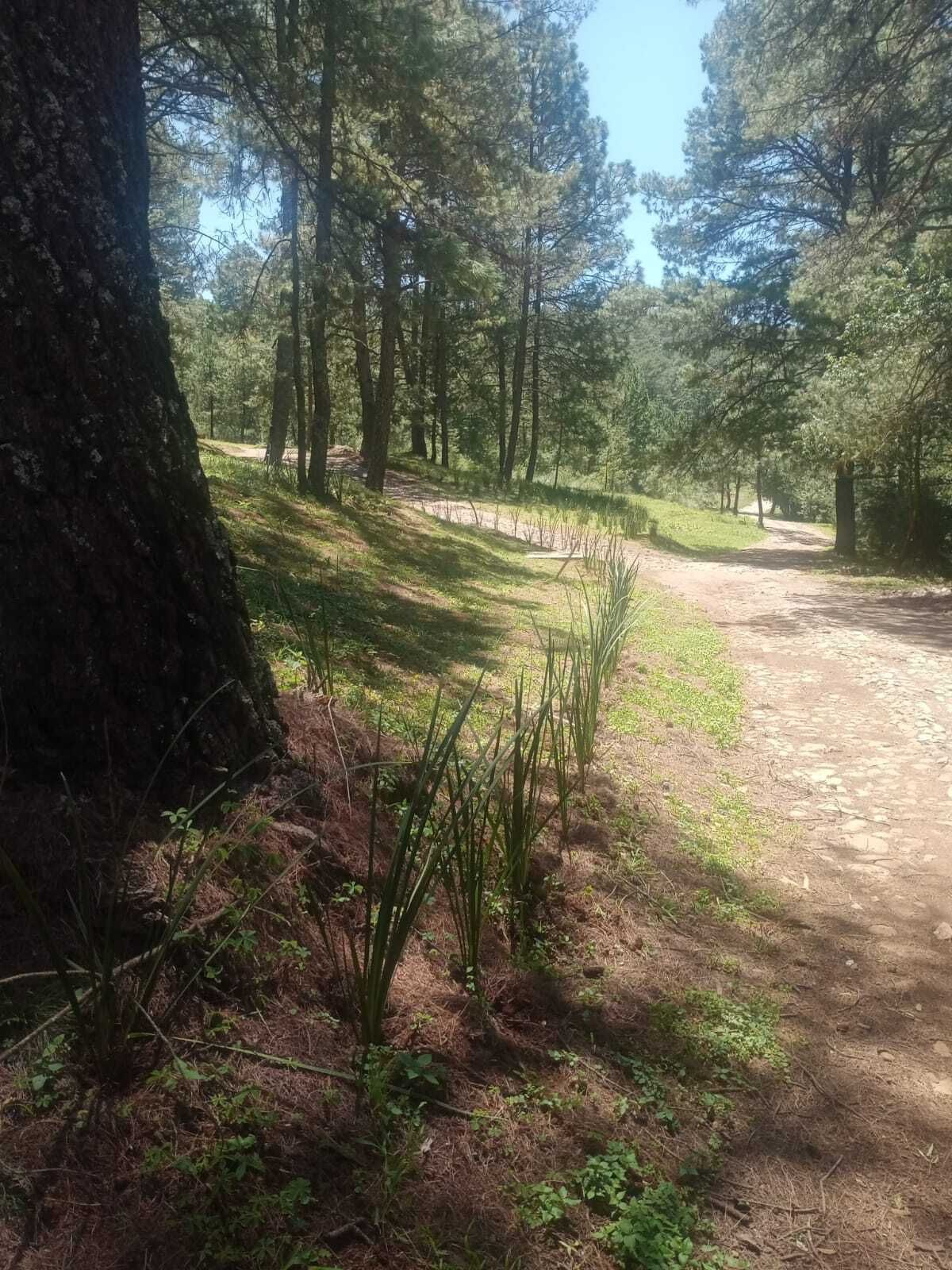 2 de 6