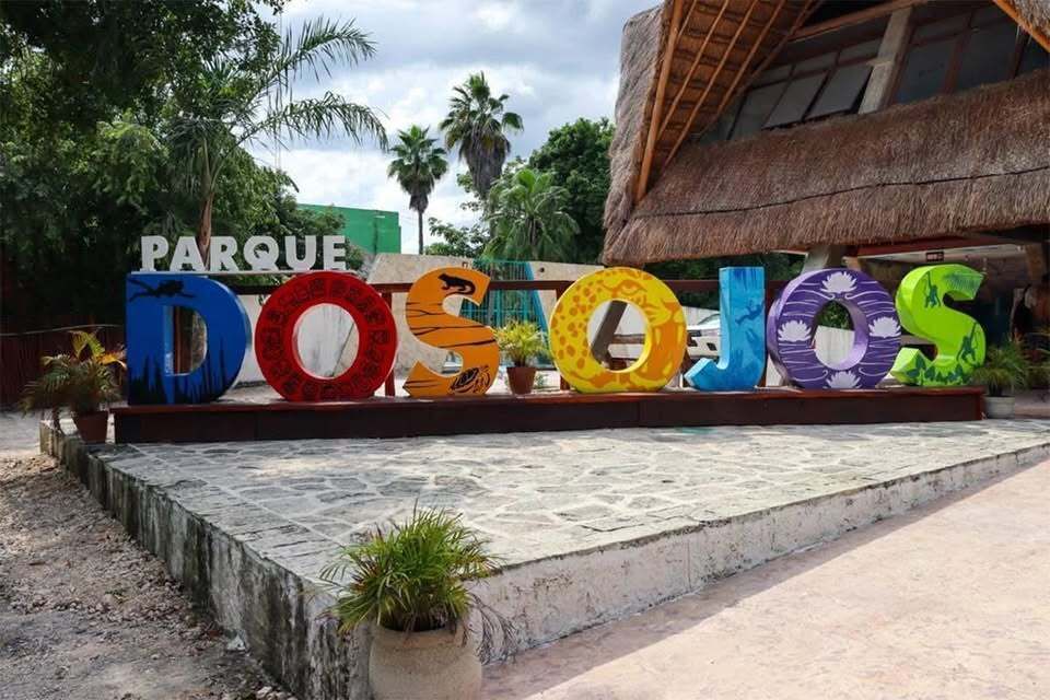 2 de 5