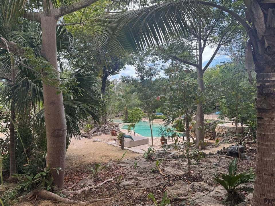 4 de 5