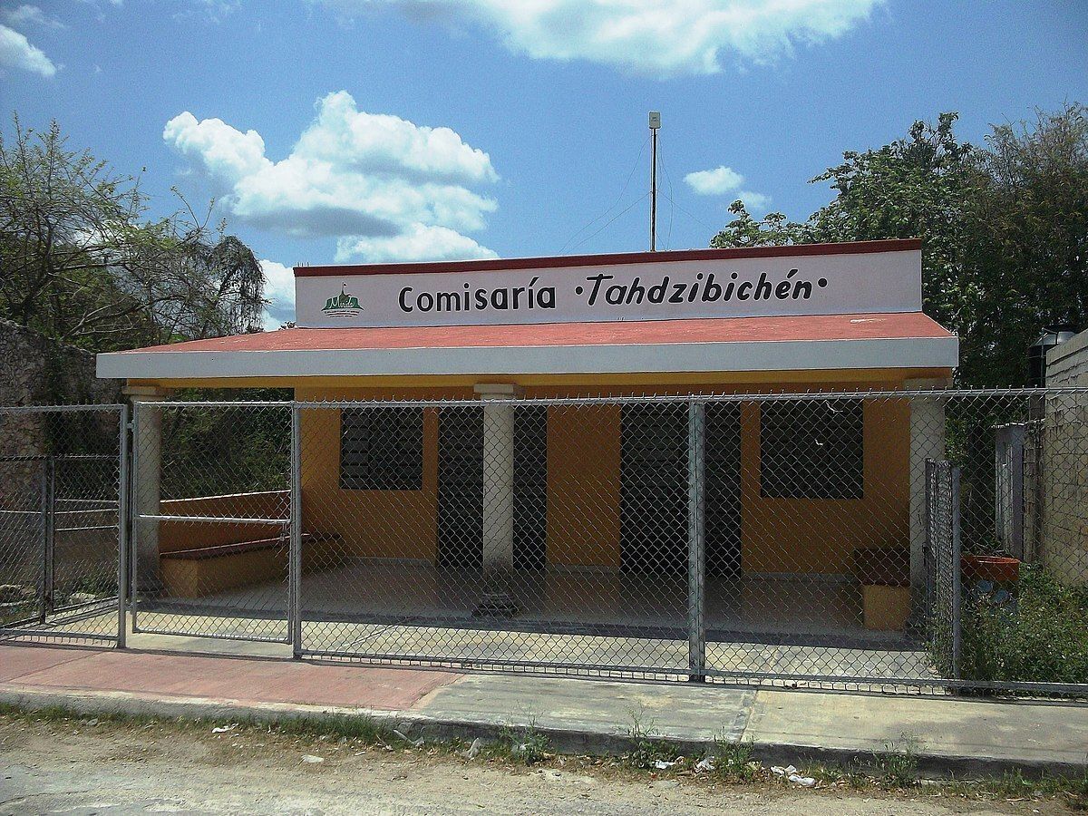 3 de 6