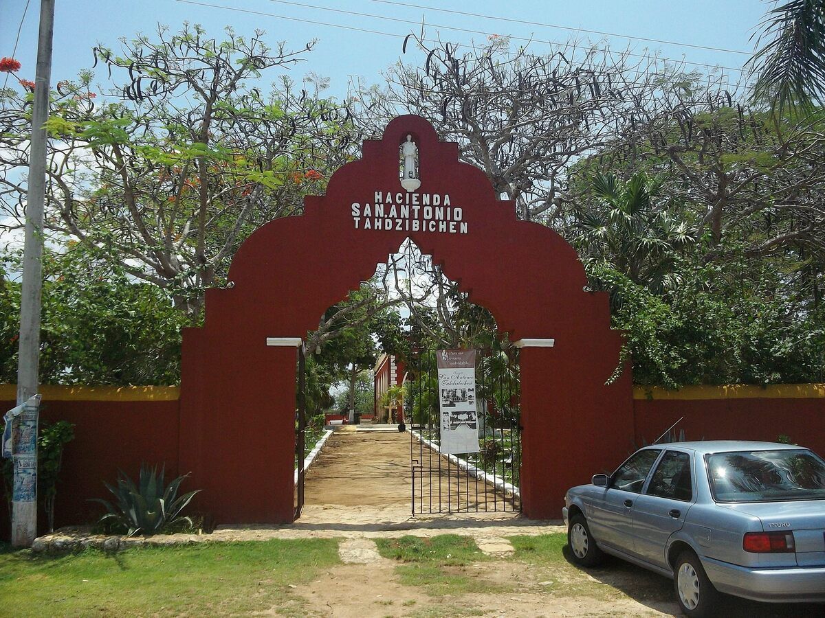 4 de 6