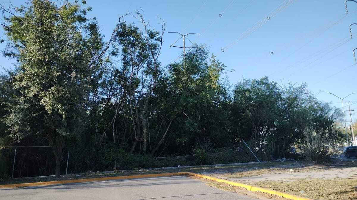 2 de 6