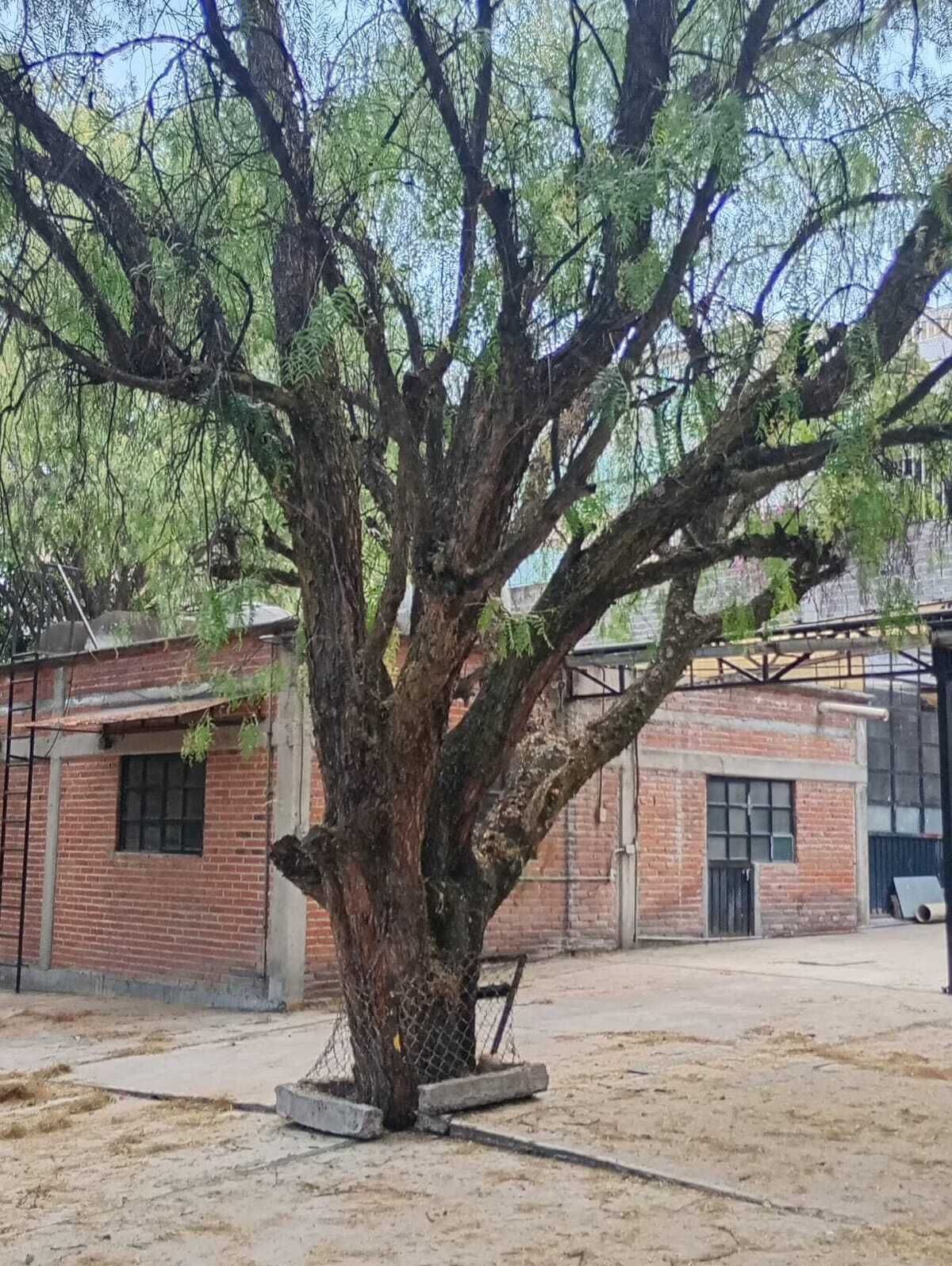 7 de 17