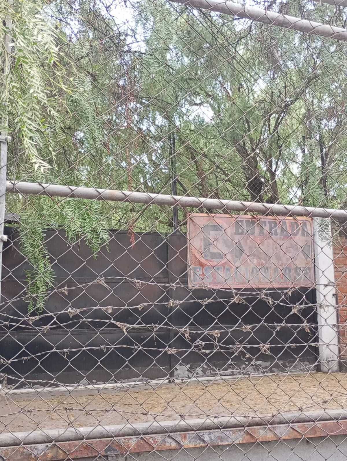 15 de 17