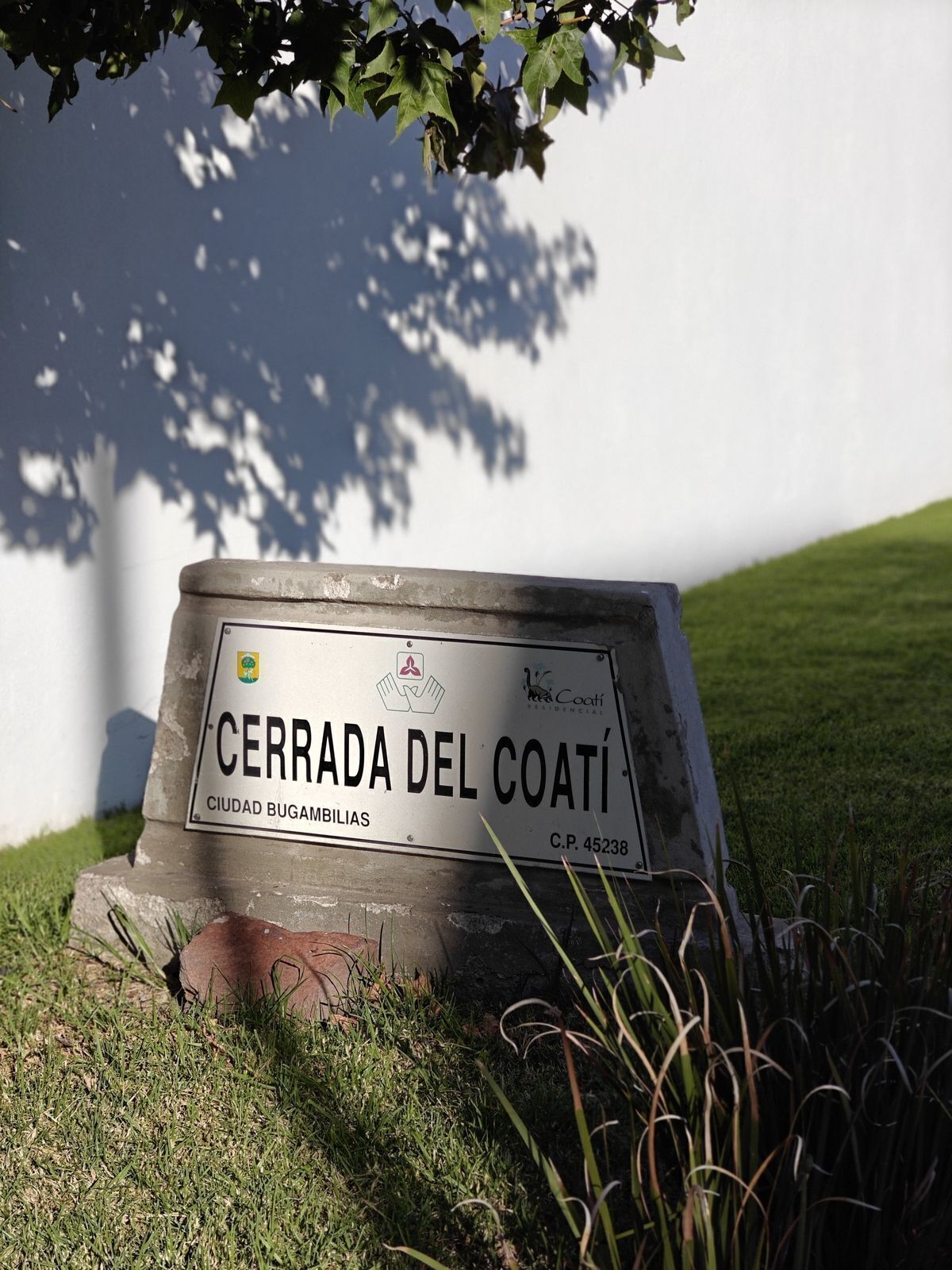 3 de 8