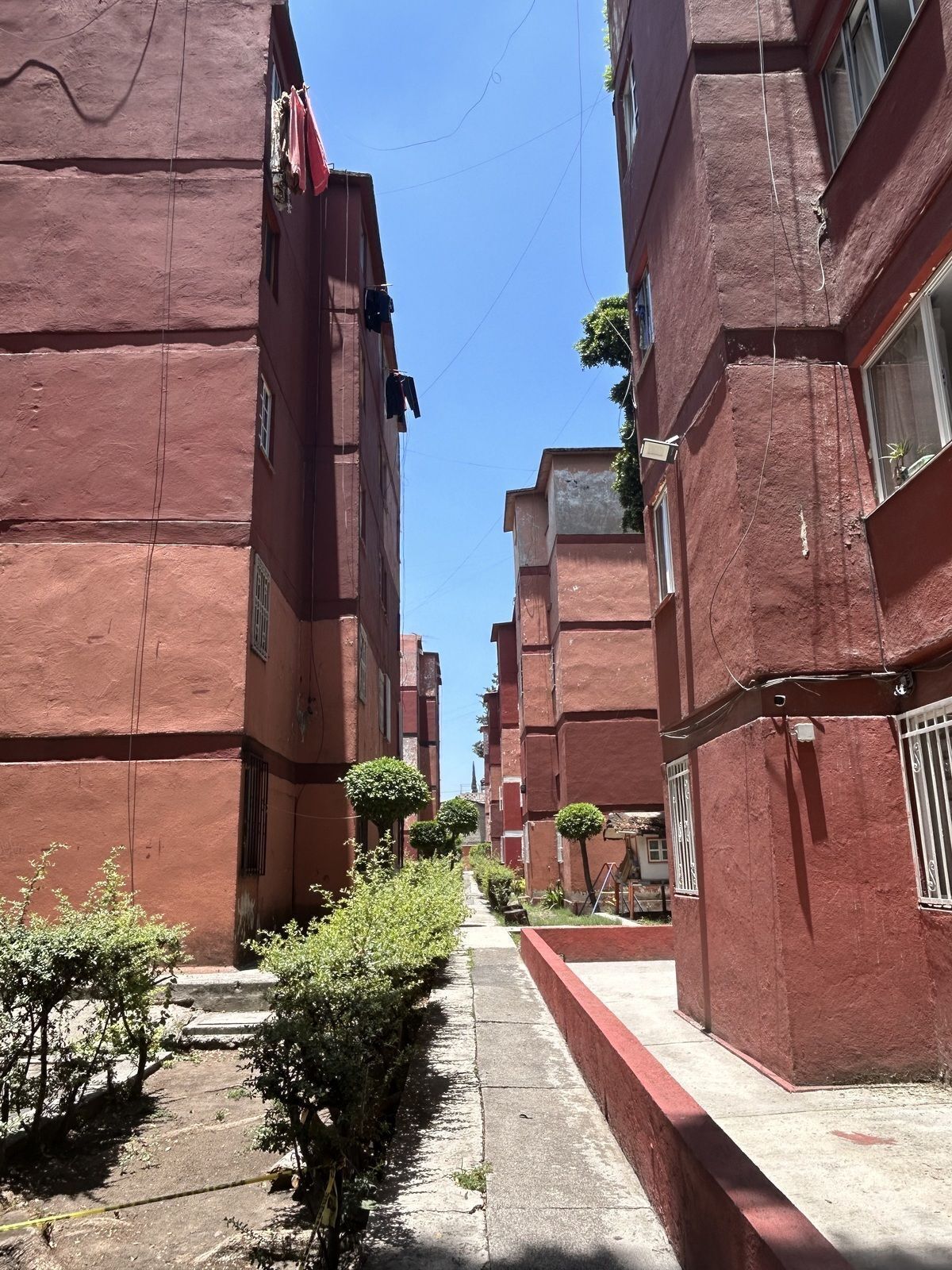 1 de 19
