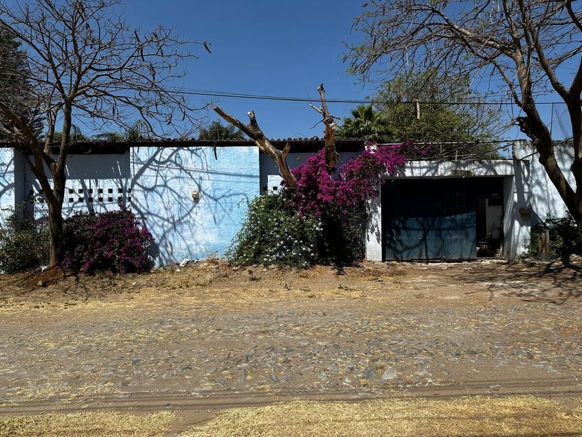 5 de 23