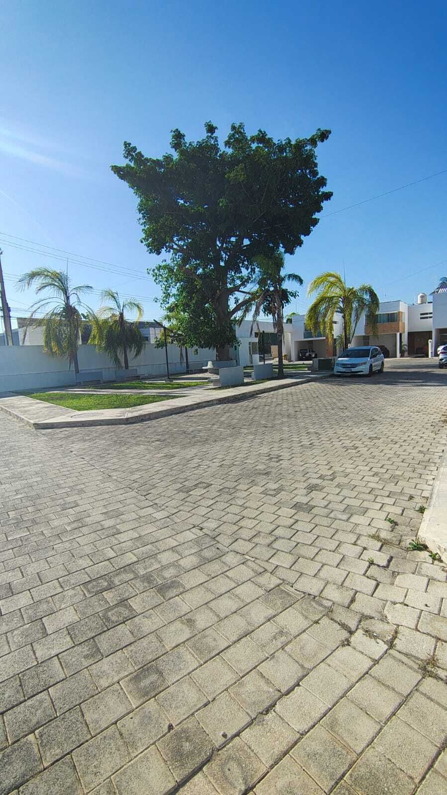 3 de 15