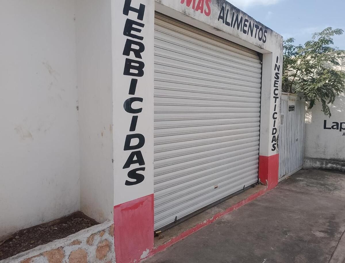 2 de 8