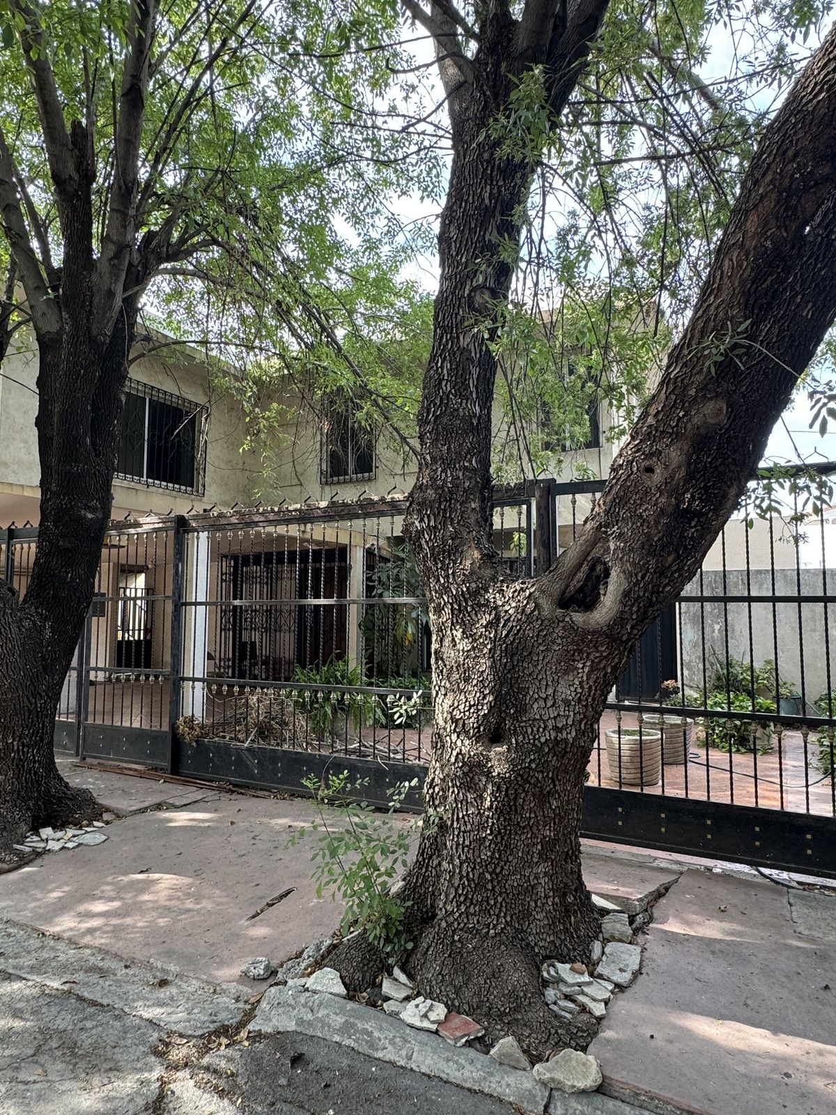 2 de 19