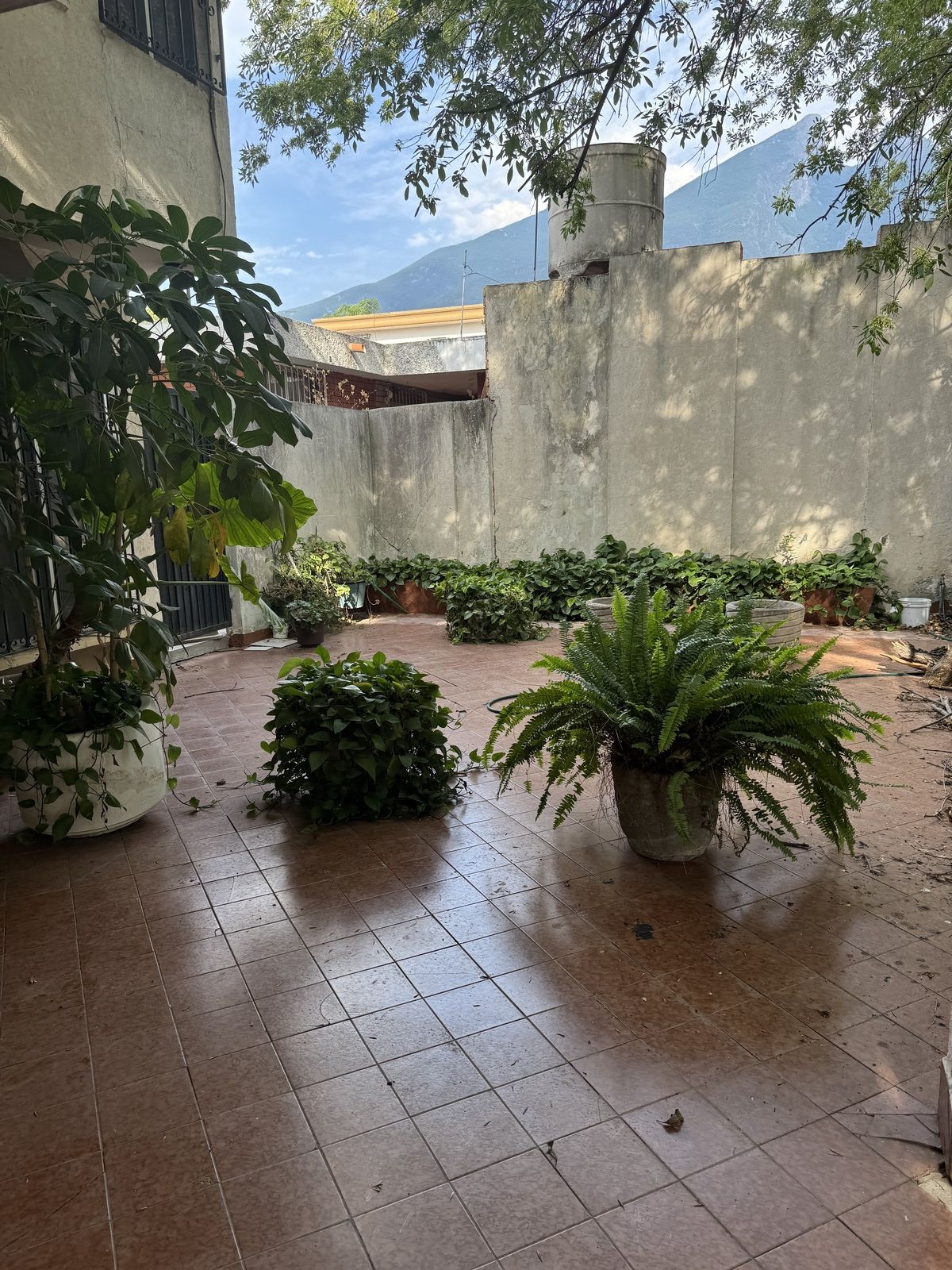 4 de 19
