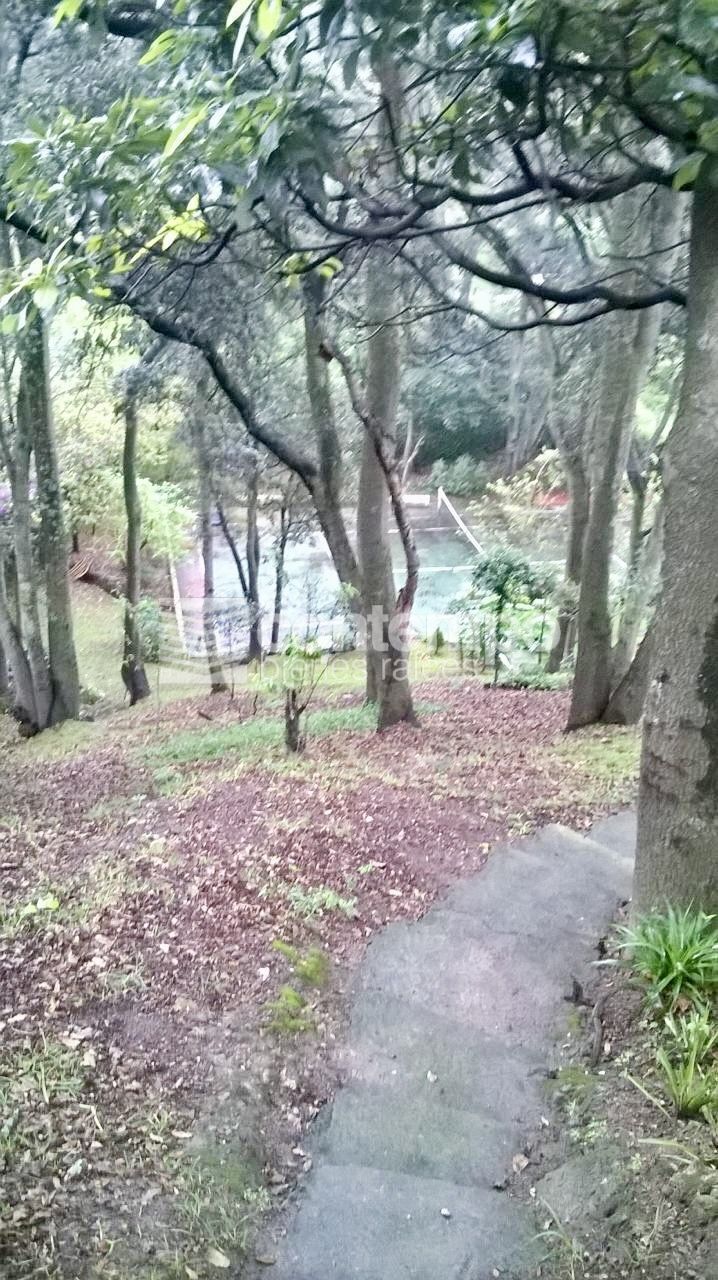 2 de 9