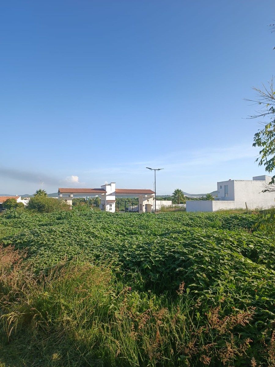 Terreno en Ciudad Maderas Residencial Querétaro, El Marqués, foto 3 de 5
