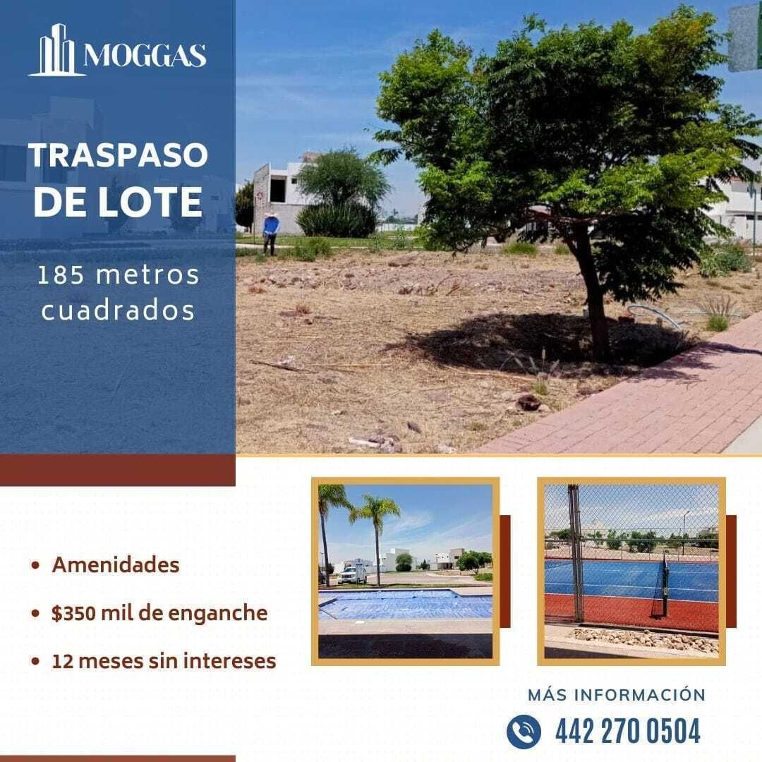1 de 1