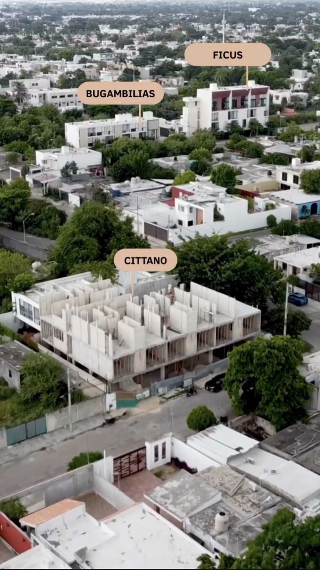 1 de 13: AVANCE OBRA AGO25