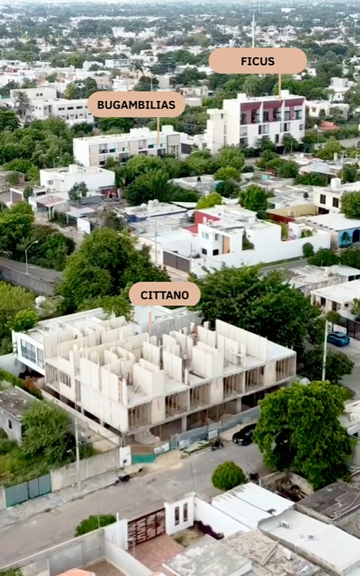 1 de 15: AVANCE OBRE FACHADA 2025