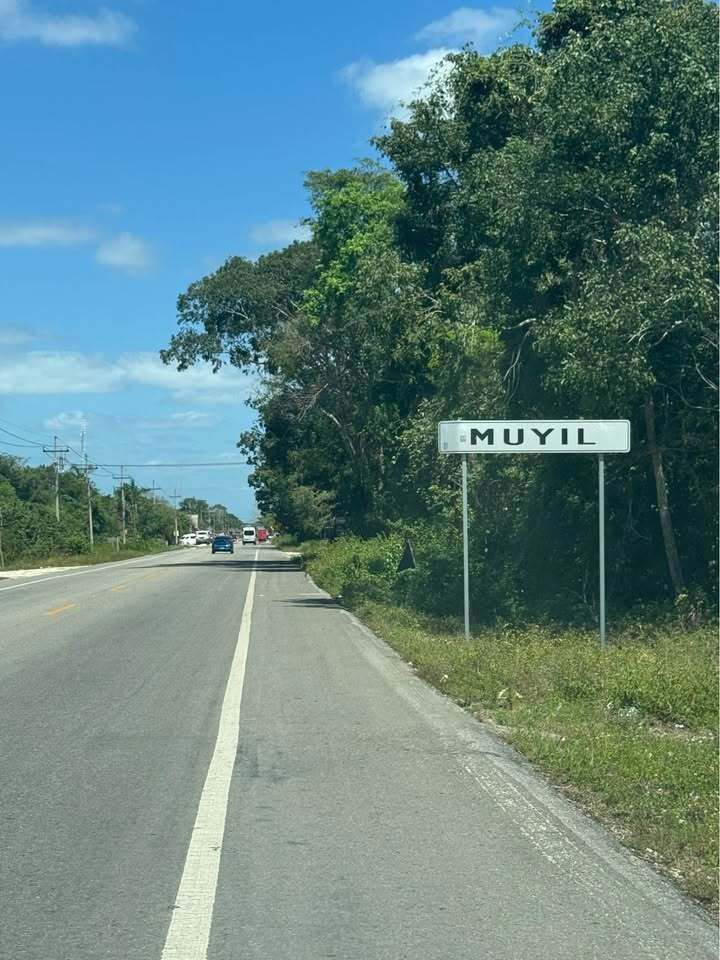 3 de 6