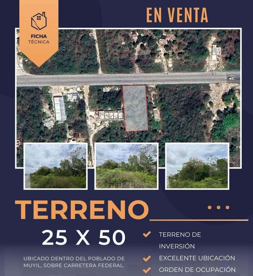 4 de 6