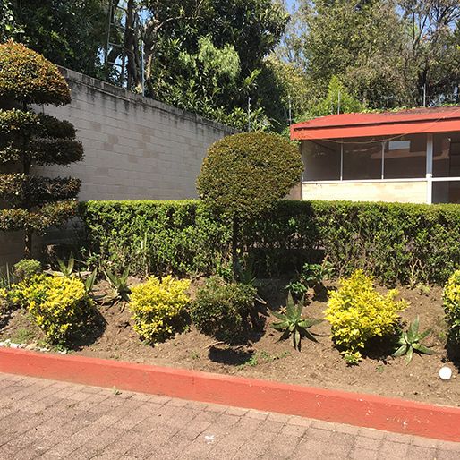 5 de 40