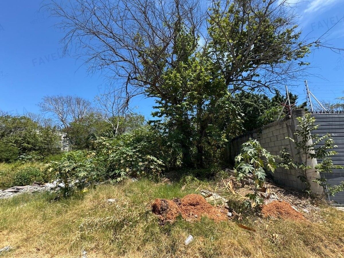 1 de 2