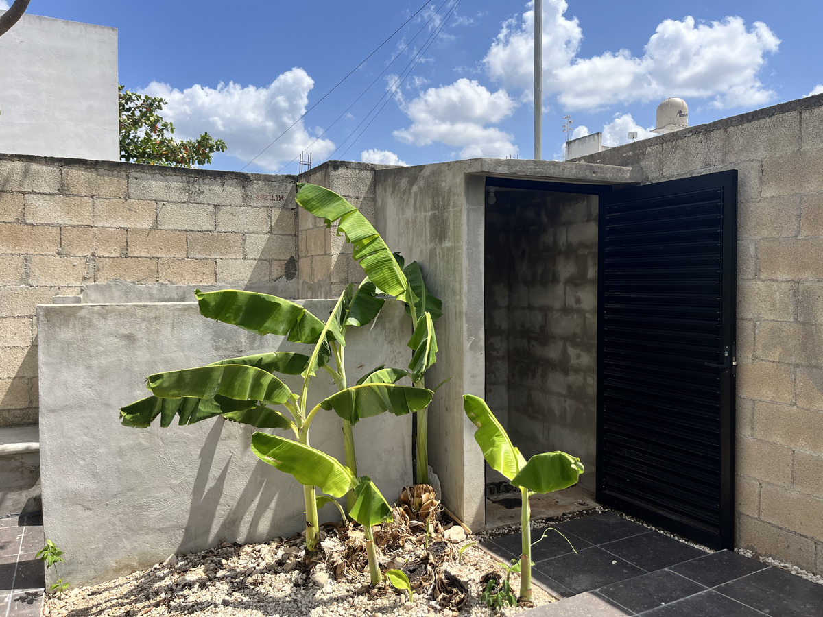 22 de 36: Patio / bodeguita