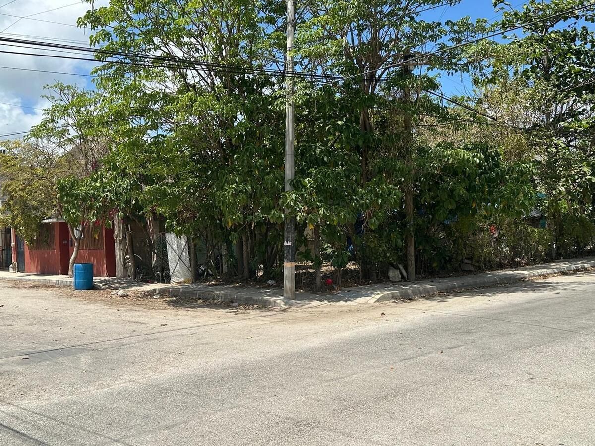 3 de 8