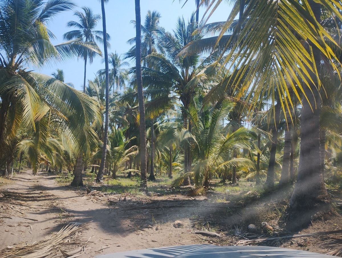 3 of 6