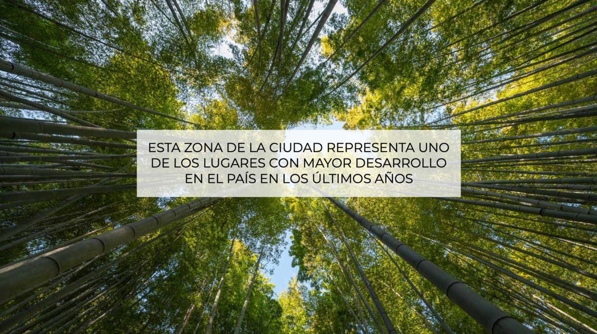4 de 17
