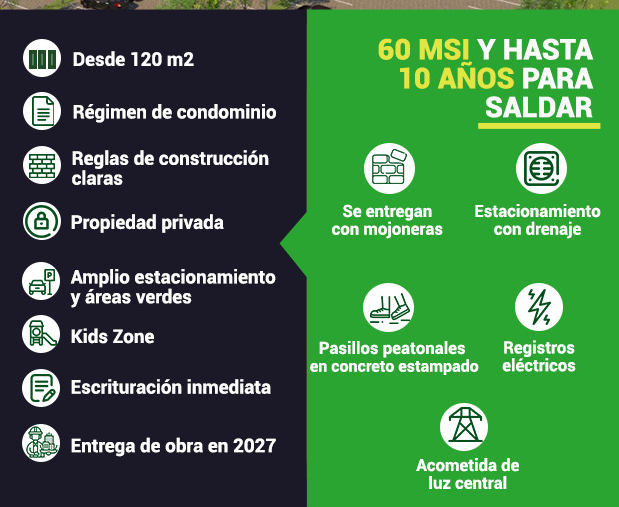 3 de 6