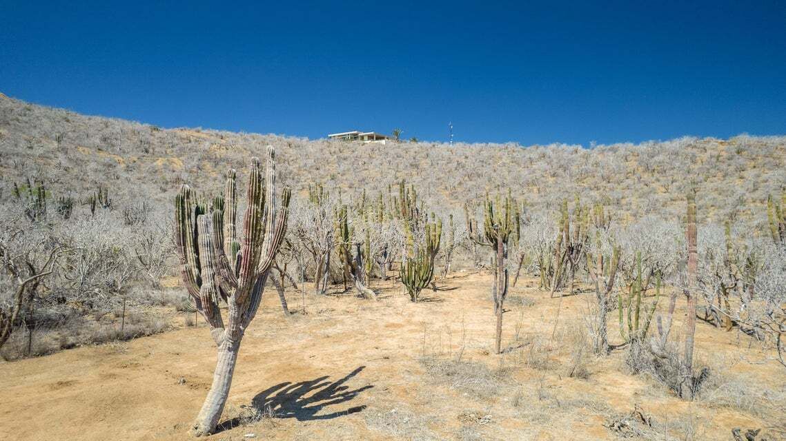 8 de 21
