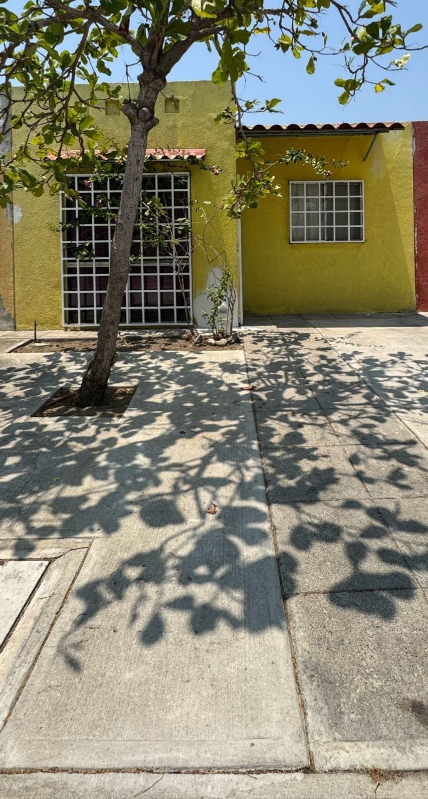 1 de 8