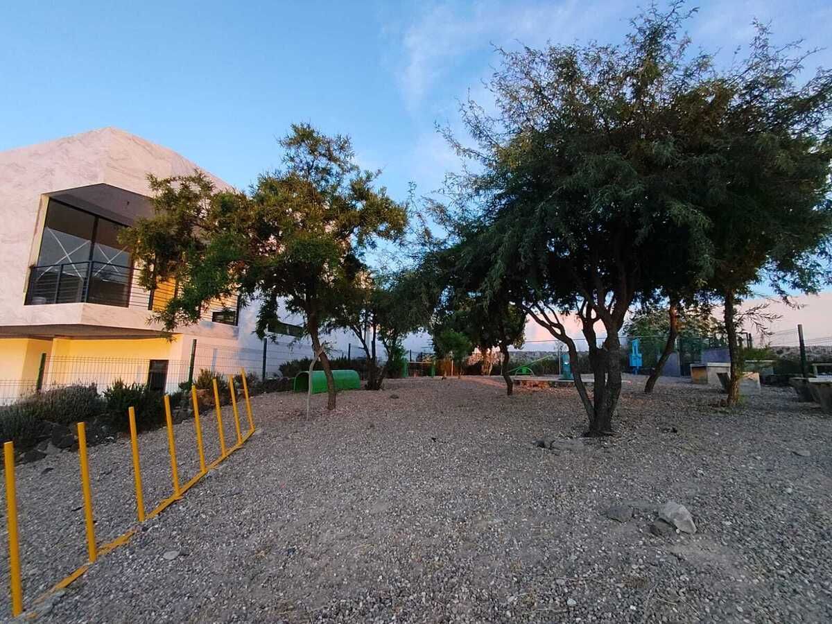 46 de 50