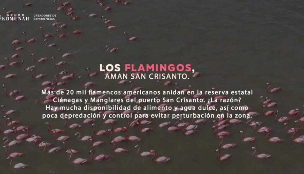 7 de 26