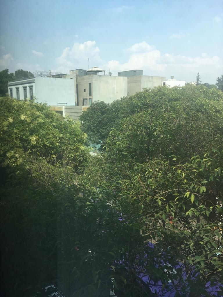 2 de 13