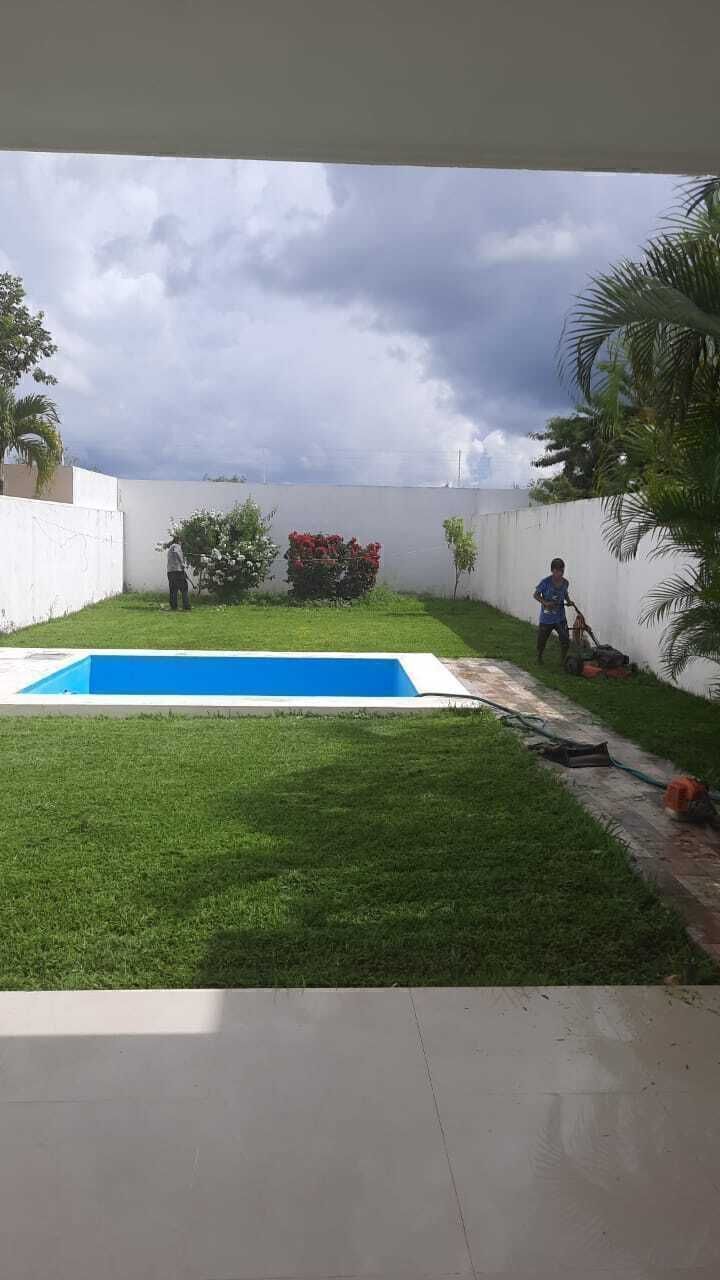 6 de 19