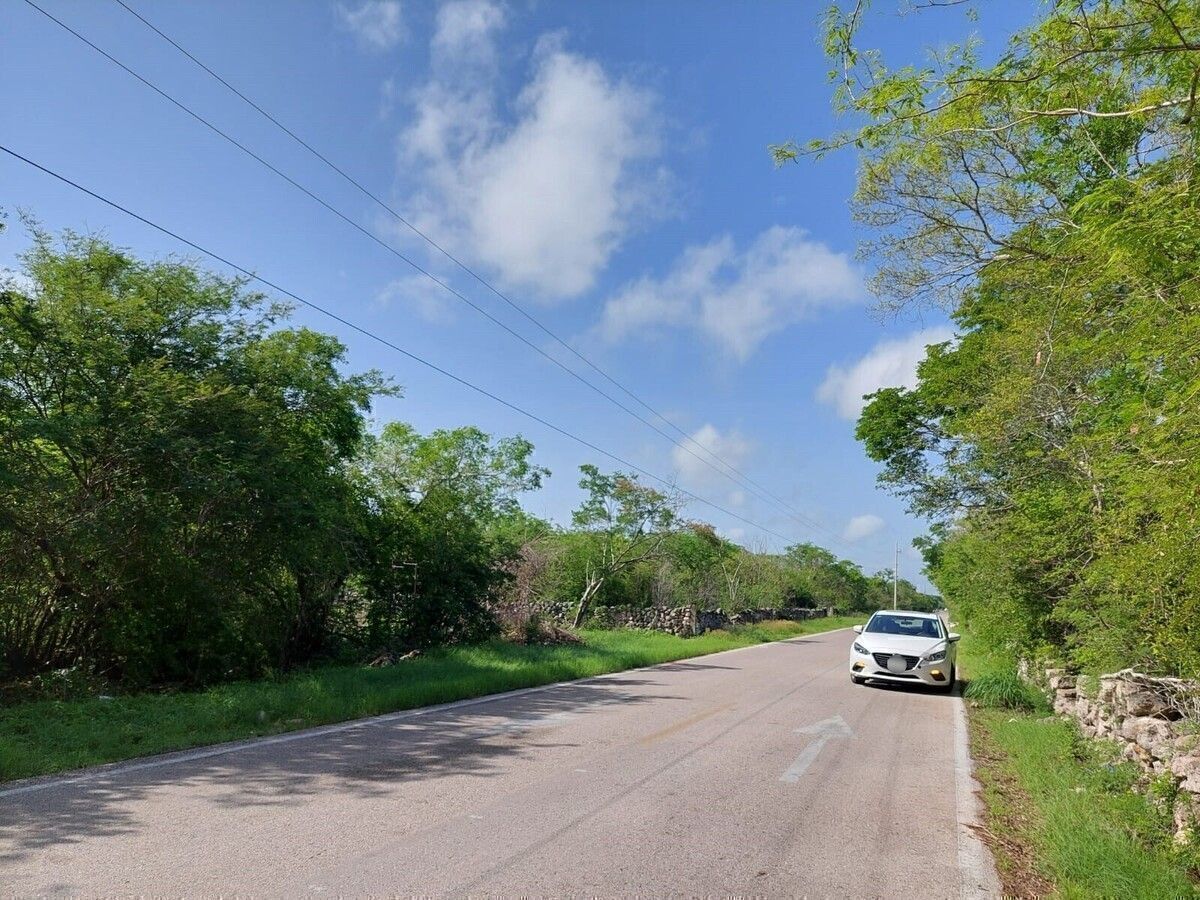 6 de 8