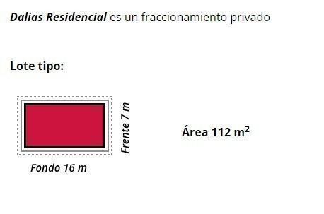 5 de 6