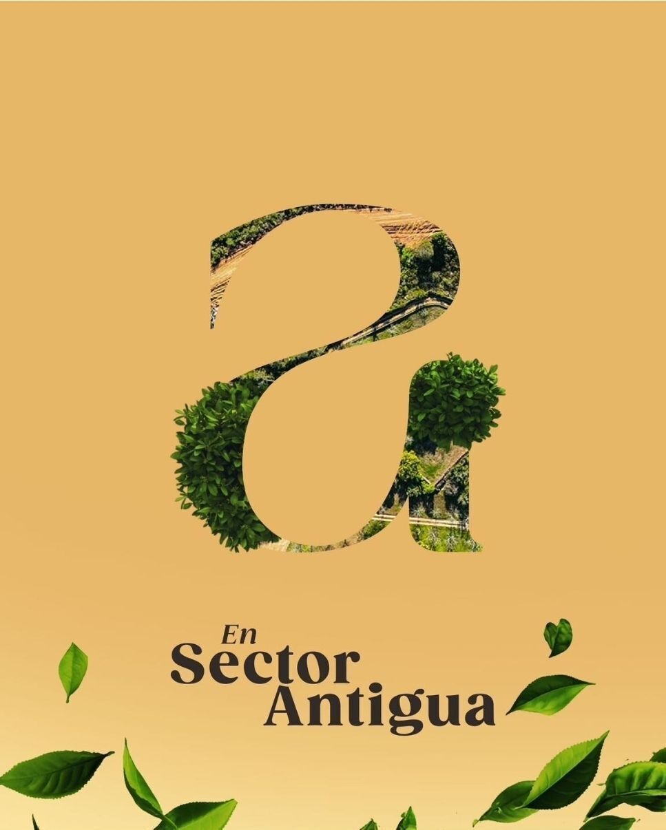 2 de 5
