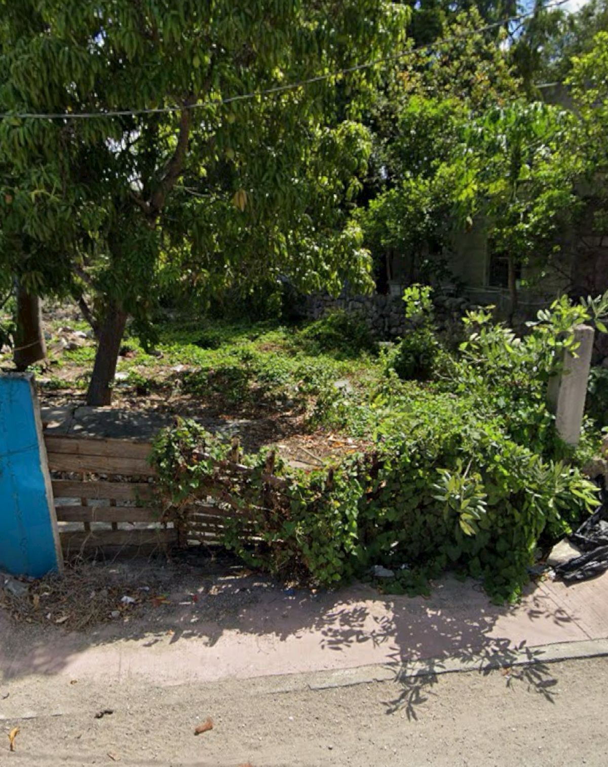 Imagen 2 de 3
