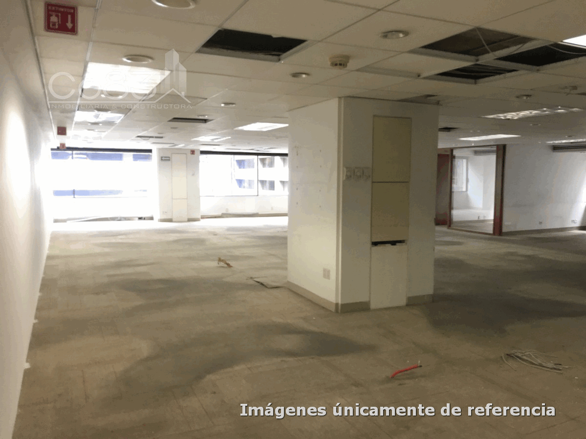 3 de 12