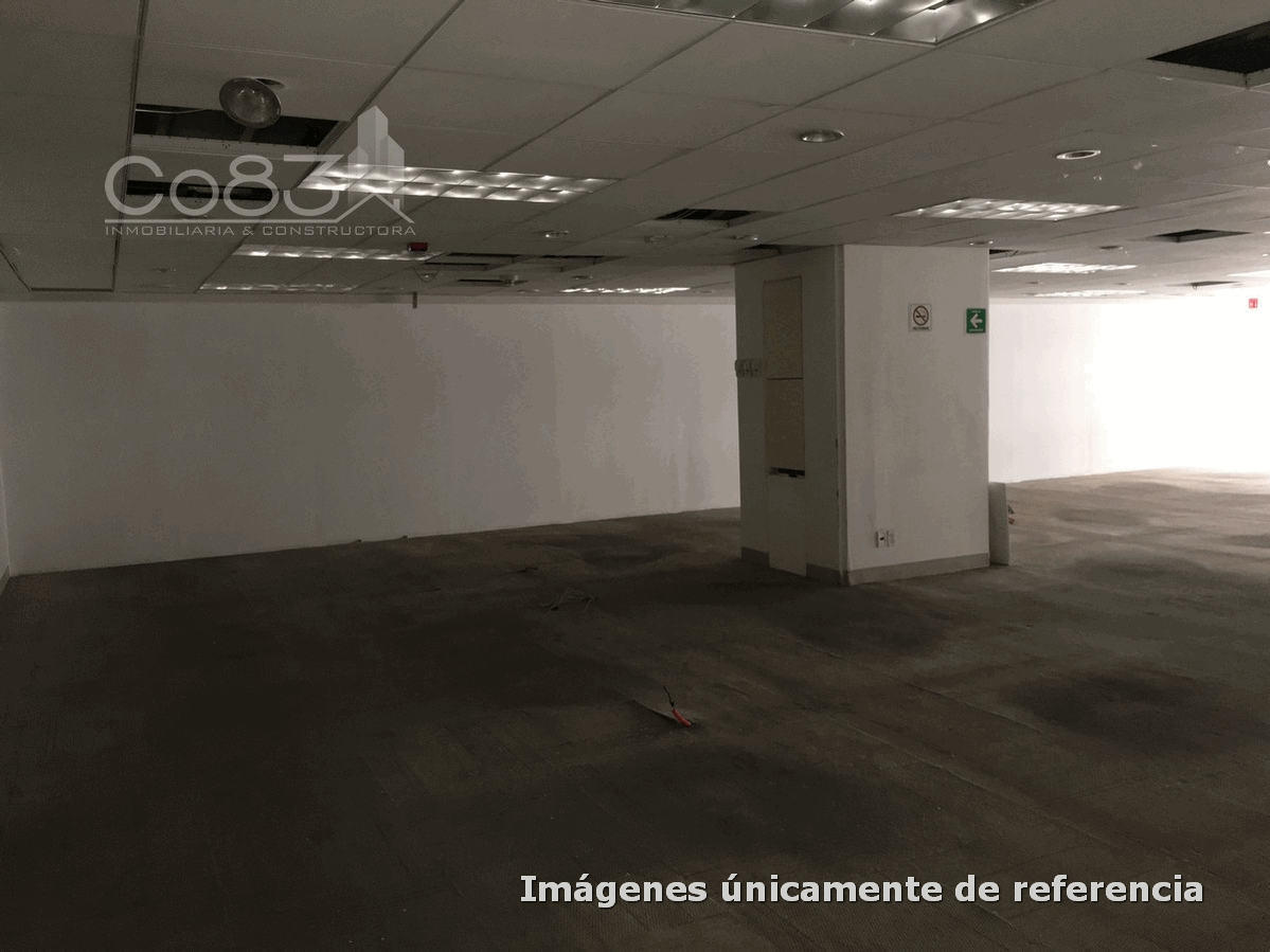 5 de 12