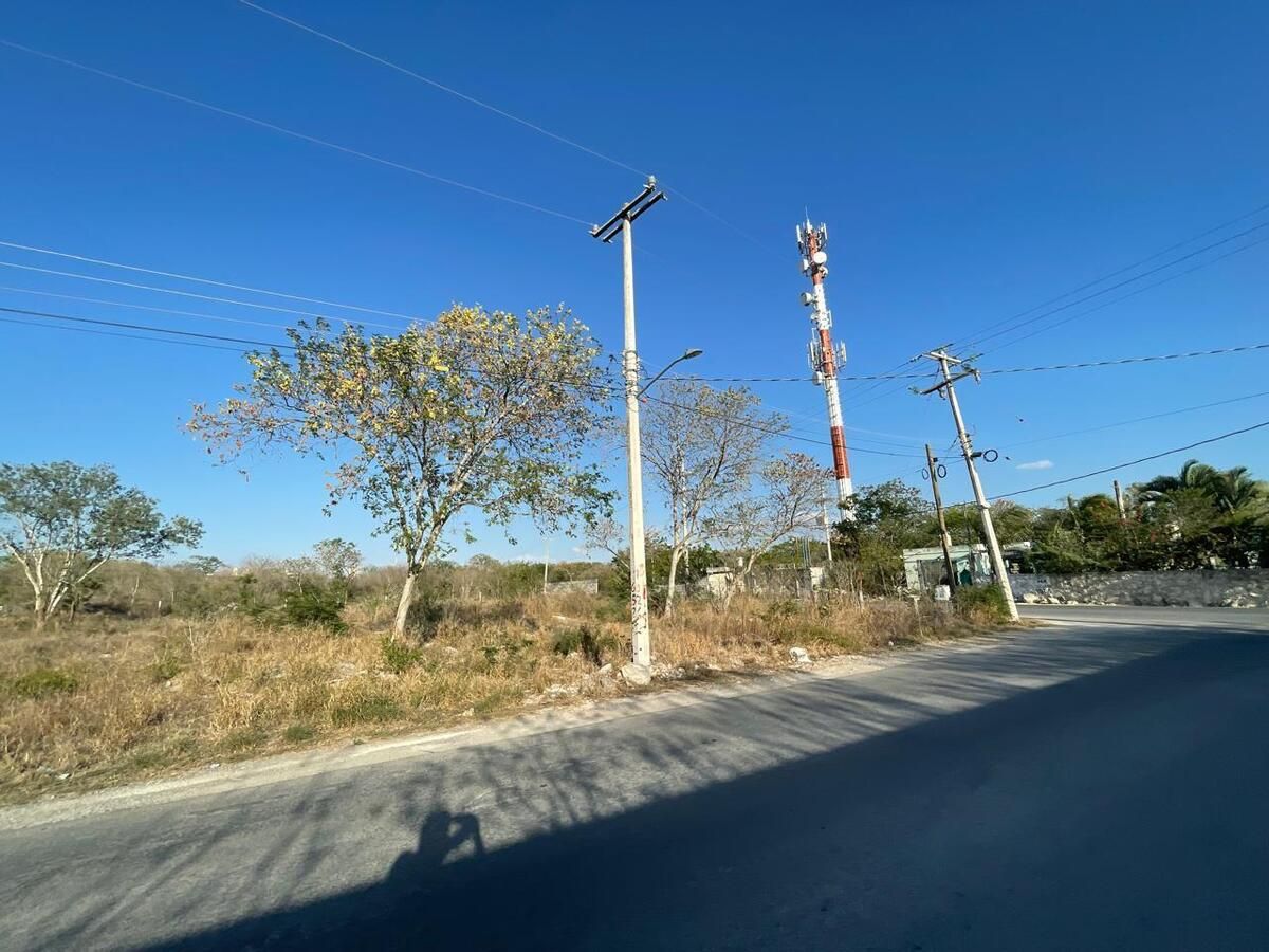 4 de 14
