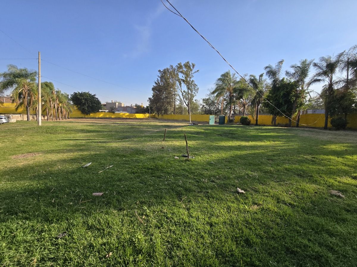 20 de 30