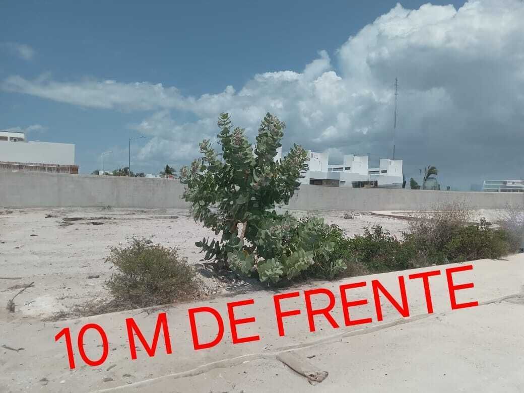 2 de 11